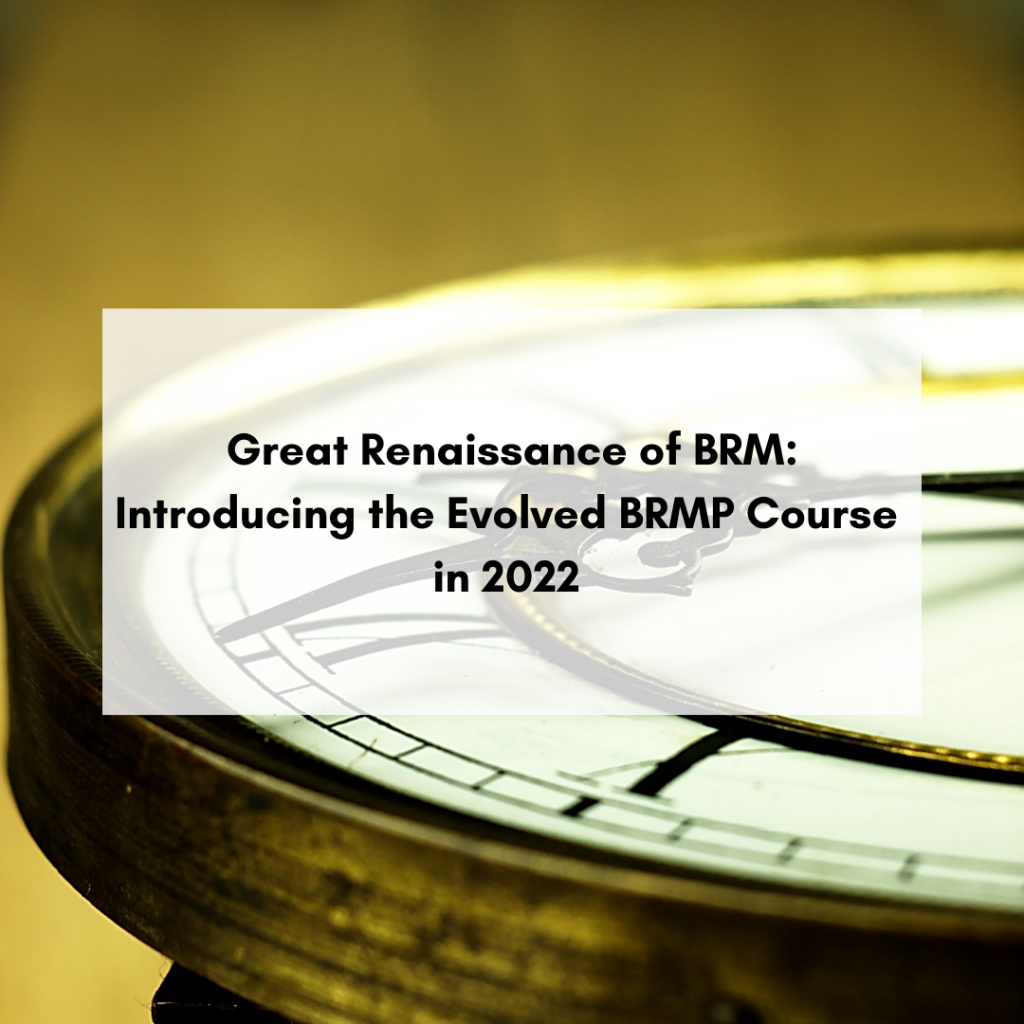 Great Renaissance of Business Relationship Management: Introducing BRMP® 2022
